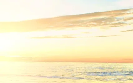 Morning Manifestation