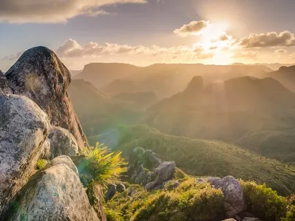 Morning Manifestation With Journaling