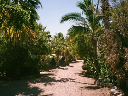 Morning Manifestation Visualization