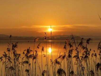 Morning Manifesting - EFT Tapping Meditation