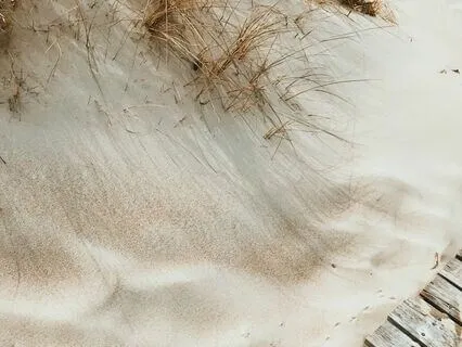 Morning Meditation: New Opportunities