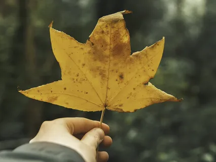 Morning Med-Present To This Moment