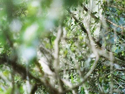 Morning Meditation - Breath And Body Scan