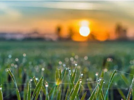 Morning Presence-Start Your Day With Intention