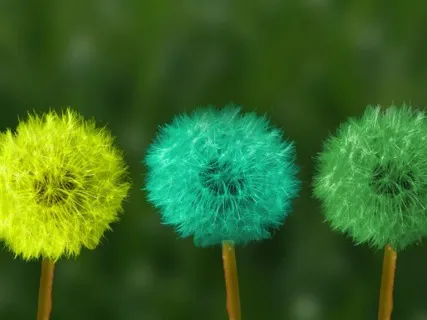 Gentle Morning Practice