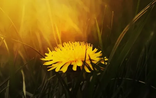 Morning Meditation: 5 Minutes Of Positive Energy