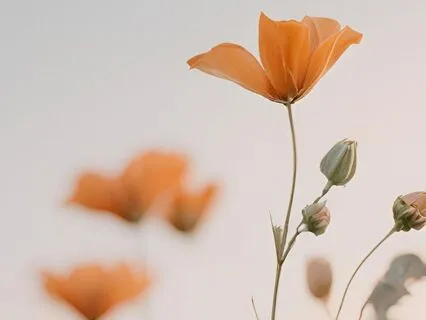 Morning Meditation: 5 Minutes To A Peaceful Day