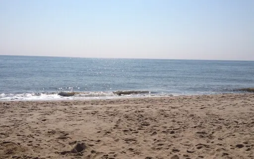 Morning Meditation