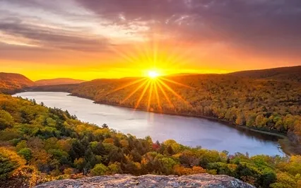 Morning Meditation - A Walk In The Forest