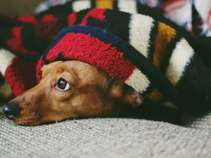 Morning Meditation After A Rough Night's Sleep