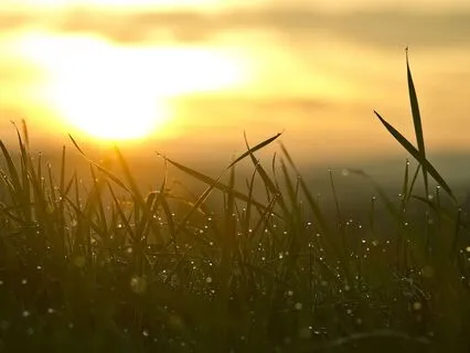 Whispered Morning Calm | ASMR