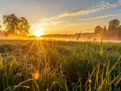 Morning Meditation: Awaken With The Sun