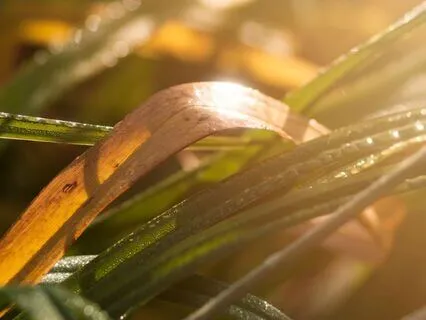 Morning Practice: Awaken Your Power With Nature’s Energy