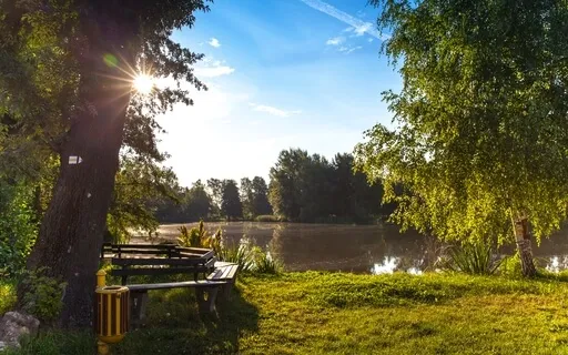 Morning Meditation - Breathe