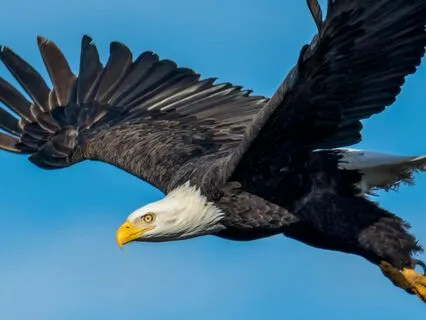 Morning Practice: Choose Surrender