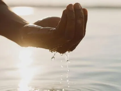 Morning Practice: Choose Trust