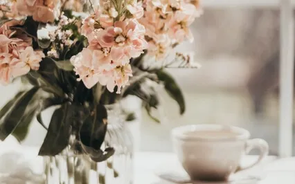 Morning Meditation - Connecting With Mother Earth 