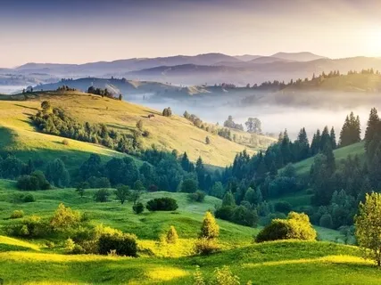 Morning Meditation - Daily Intention