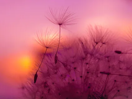 Morning Meditation Day 2: Smile From The Heart