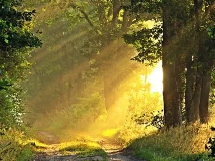 Morning Practice - Coming Into This New Day