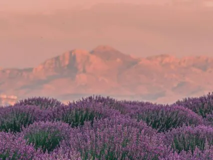 Morning Meditation: Embrace Inner Peace