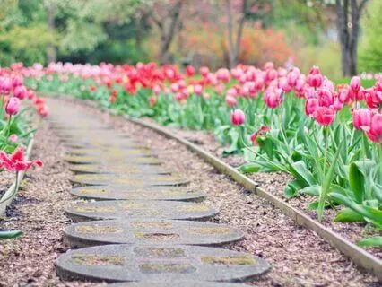 Morning Meditation: Embrace Your Day