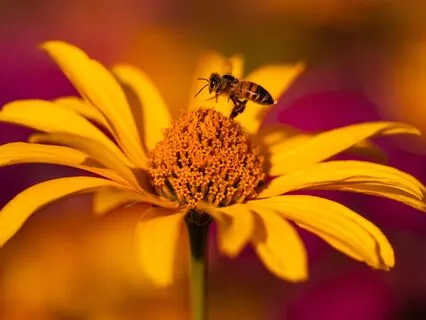 Morning Meditation: Embrace Your Journey