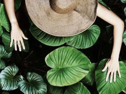 Morning Meditation | Embracing Self