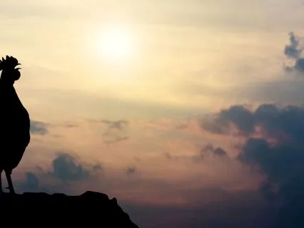 Morning Meditation: Energize And Set Your Intention W/ Music