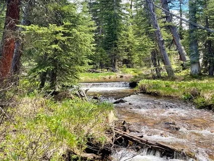 Morning Meditation- Flow With Your Day