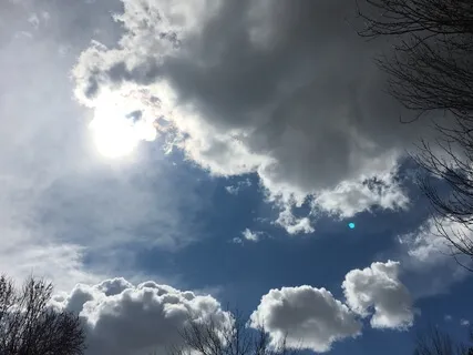 Morning Meditation For A Beautiful Day