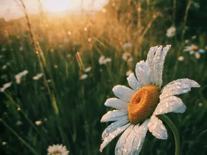 Morning Practice For A Beautiful Day