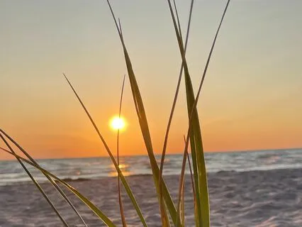 Morning Meditation For  A Calm Day