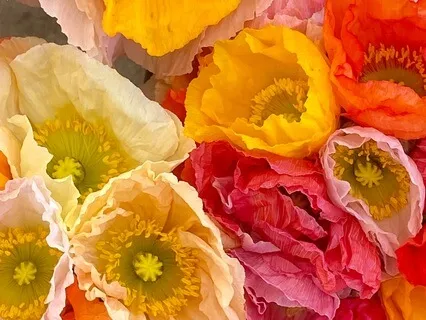 Morning Meditation For A Positive Start To The Day