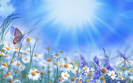 Morning Meditation For A Productive Day