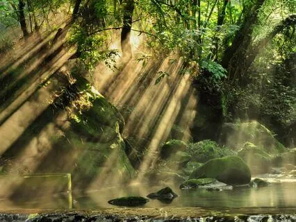 Morning Meditation For Alignment & Flow