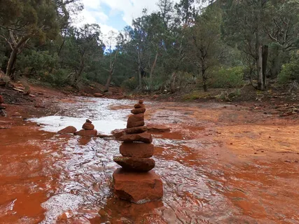 Morning Meditation For An Active Mind