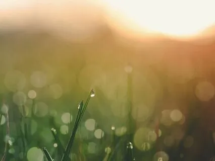 Morning Meditation For An Amazing Day Ahead