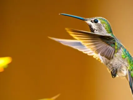 Morning Meditation For Anxiety