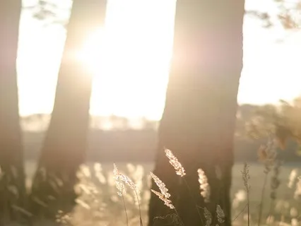 Morning Meditation For Calm And Clarity