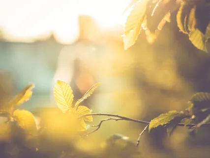 Morning Meditation For Challenging Times