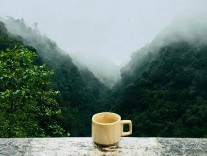 Morning Meditation For Clarity And Energy