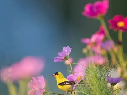 Morning Practice For Clarity And Inspiration