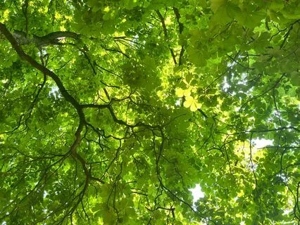 Morning Meditation For Connection And Energy Flow