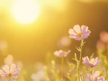 Morning Meditation For Creativity & Inspiration