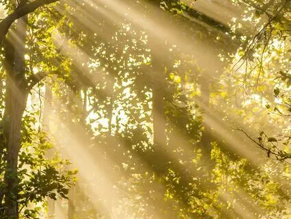 Morning Meditation For Divine Guidance & Connection