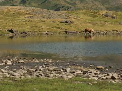 Morning Meditation For Energy And Productivity