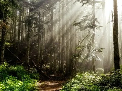 Recharge With Morning Energy And Vitality