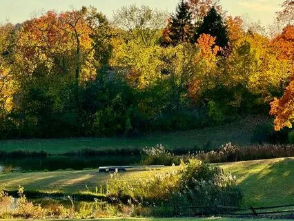 Morning Meditation For Feeling Secure All Day