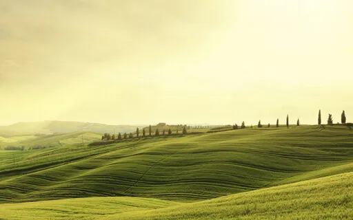 Morning Meditation For Finding Focus